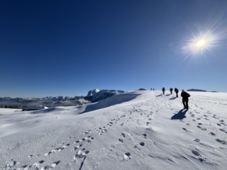 20250215_Marcheurs_Arrivée_Niremont