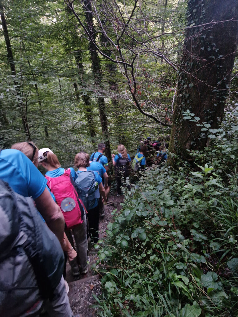 20250905_201_Belmont