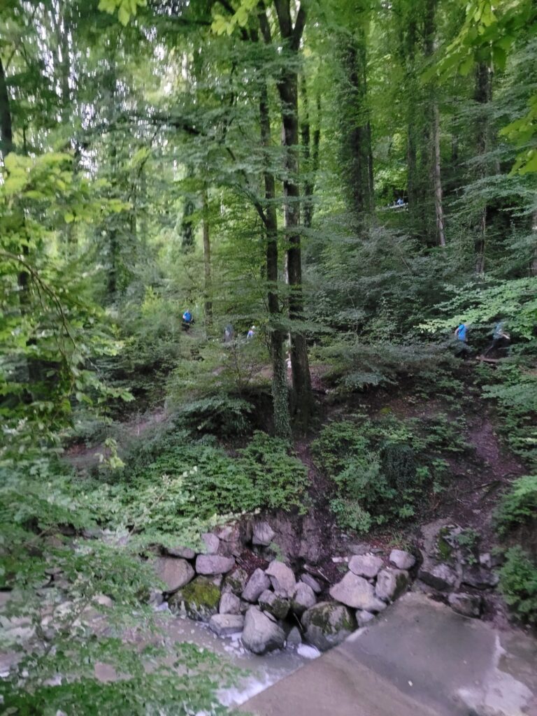 20250905_203_Belmont