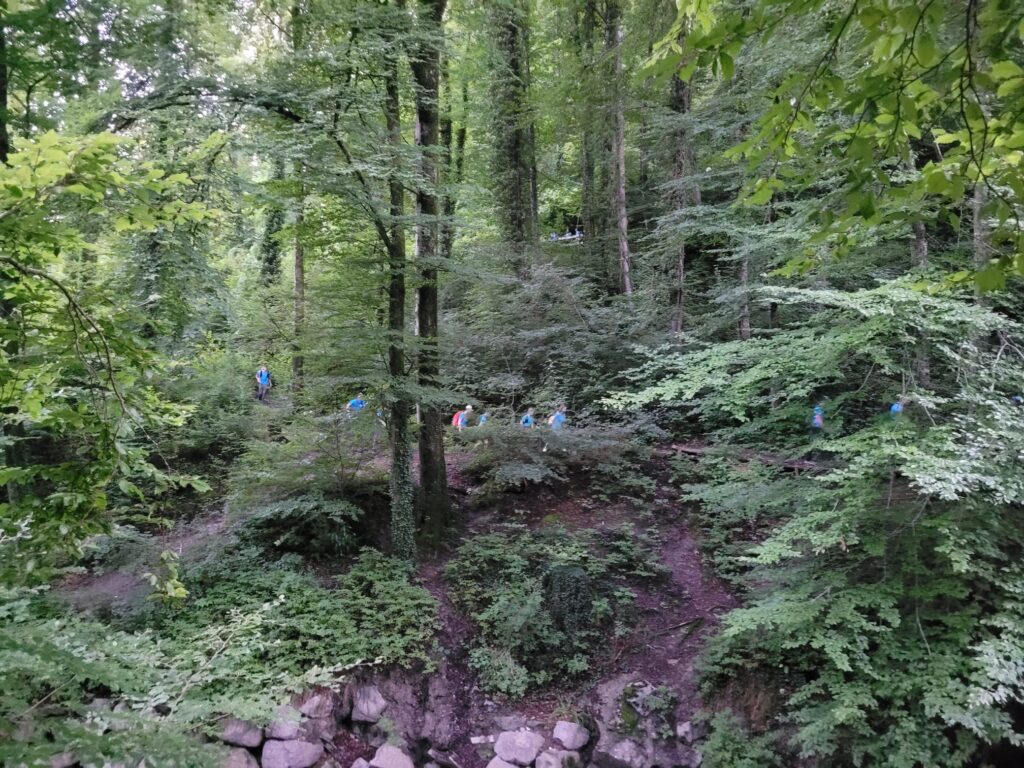 20250905_204_Belmont