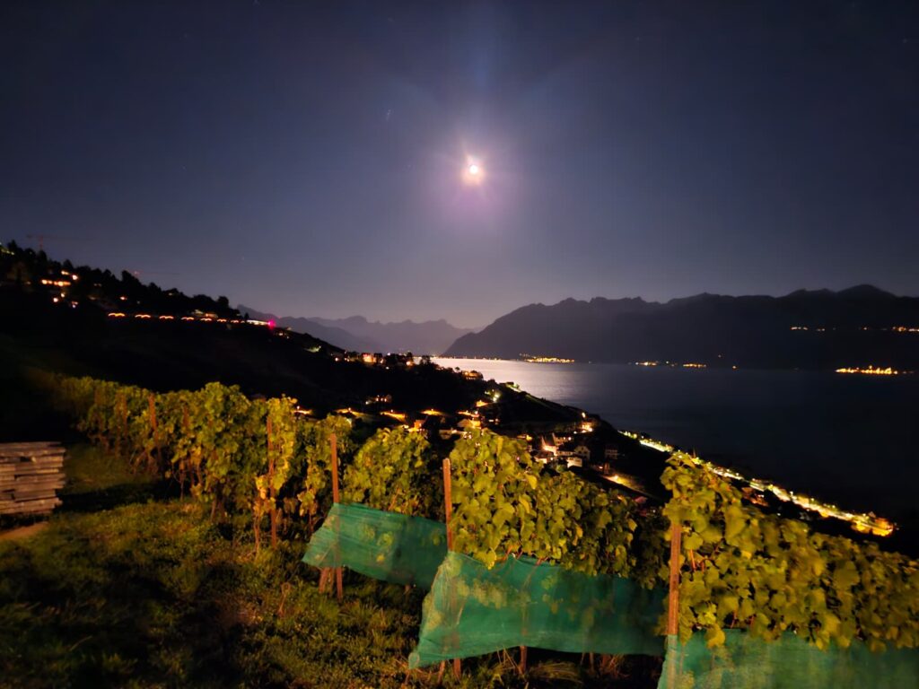 20250905_205_Aran_Villette