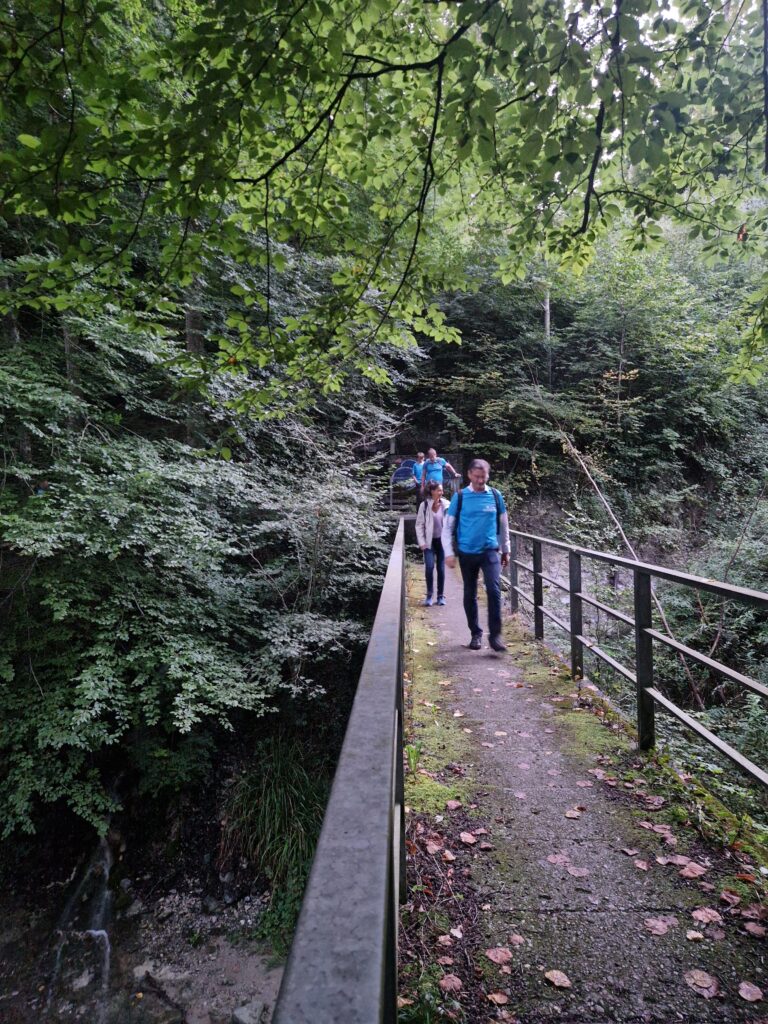 20250905_205_Belmont