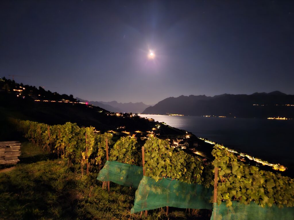 20250905_239_Aran_Villette