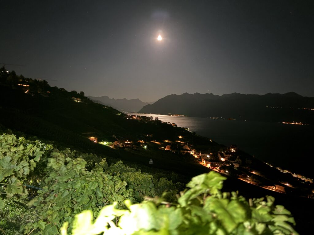 20250905_241_Aran_Villette