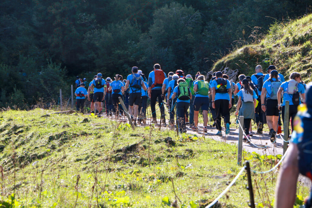 20250906_1000_Tremetta