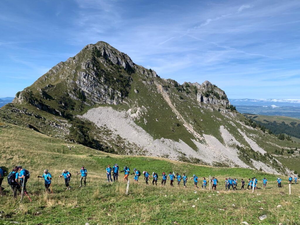 20250906_1006_Tremetta