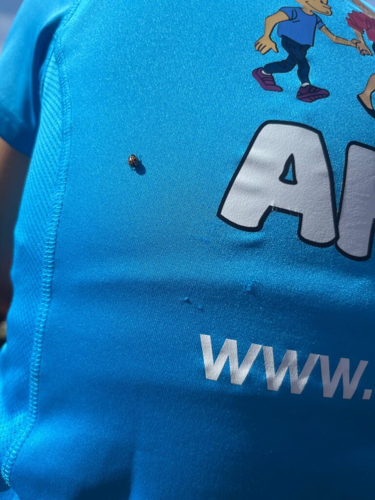 20250906_1048_SommetduMoléson