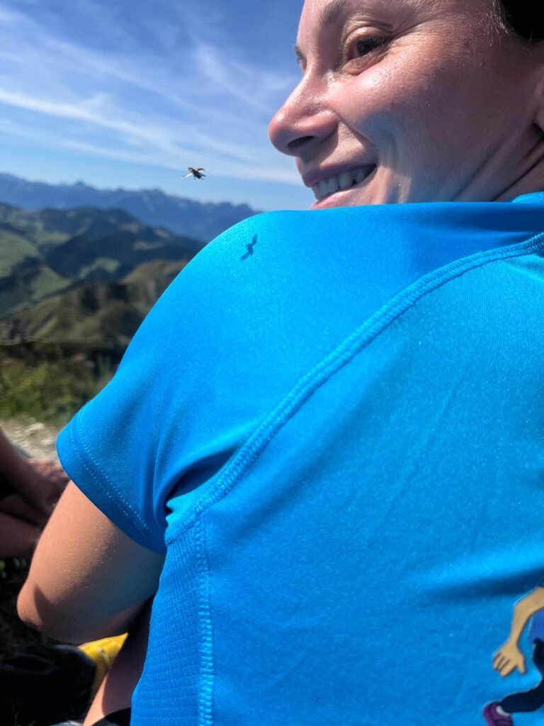 20250906_1052_SommetduMoléson