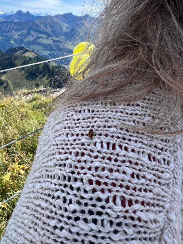 20250906_1059_SommetduMoléson