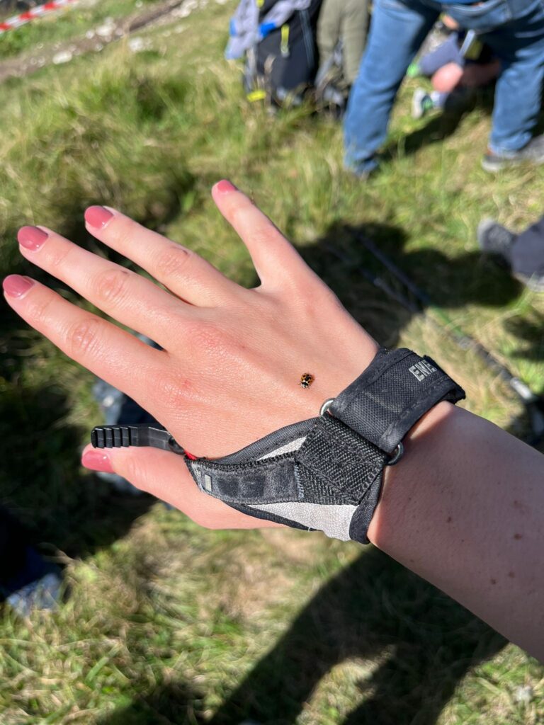 20250906_1081_SommetduMoleson