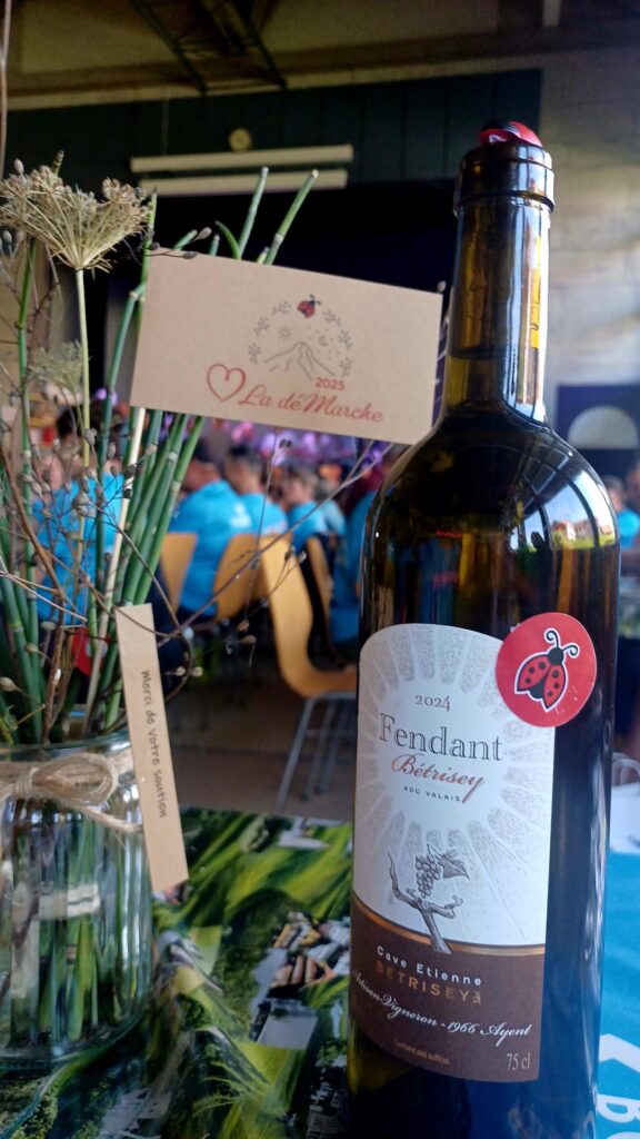 20250906_1116_StMartin