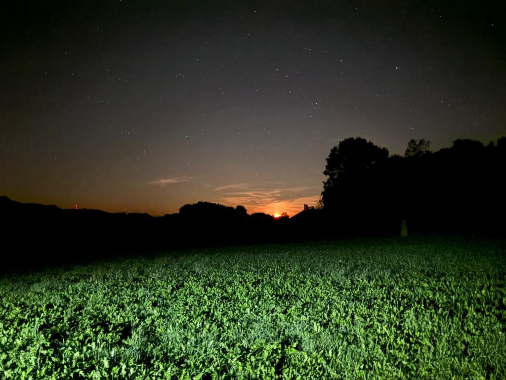 20250906_606_Progens