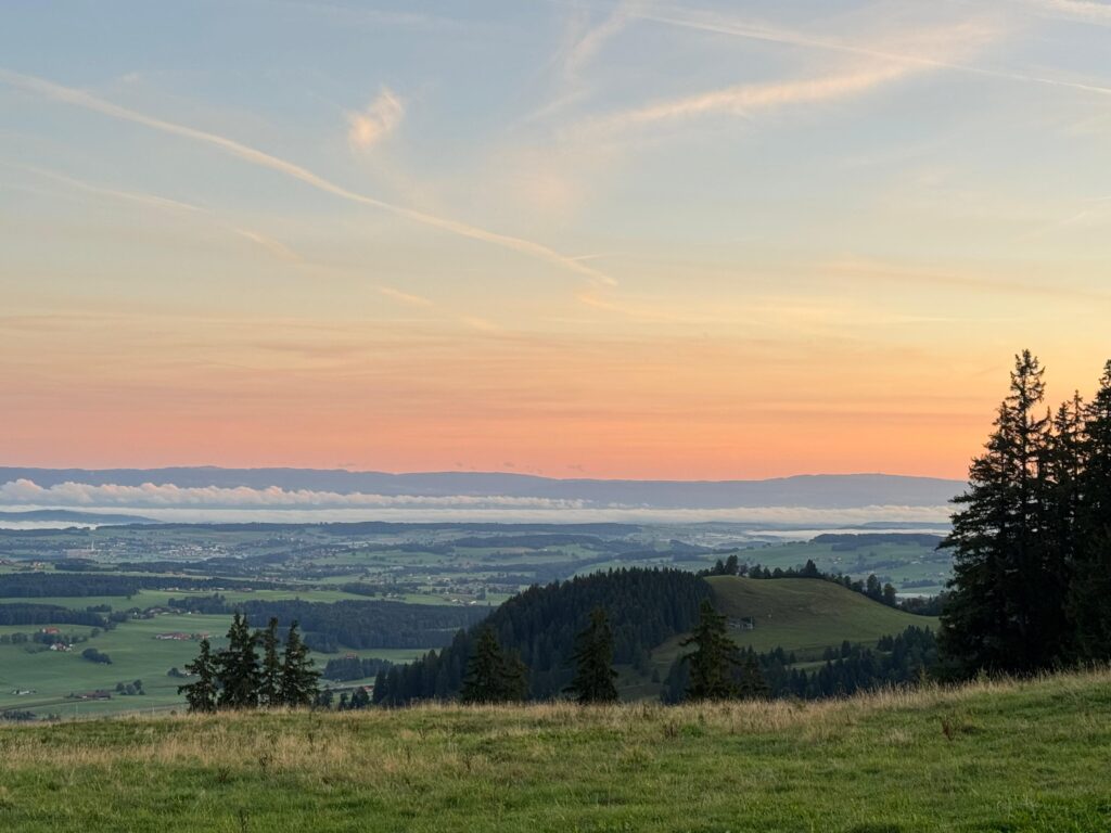 20250906_622_LesPrevondes