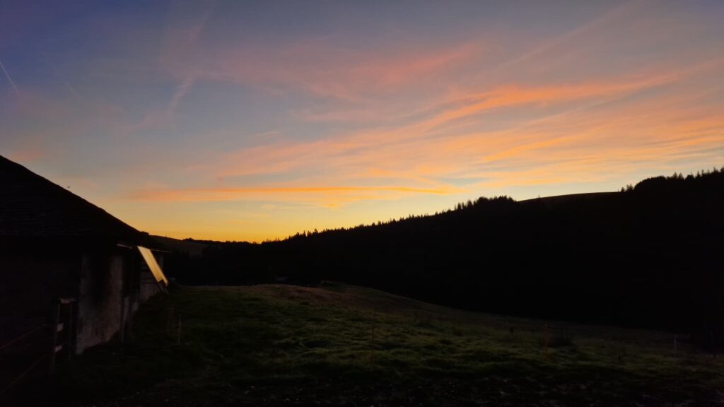 20250906_624_LesPrevondes