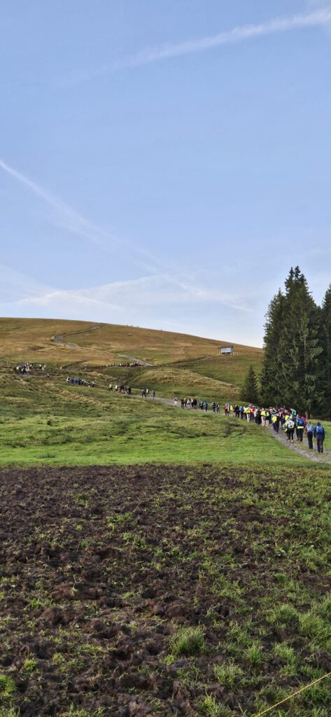 20250906_700_LeNiremont