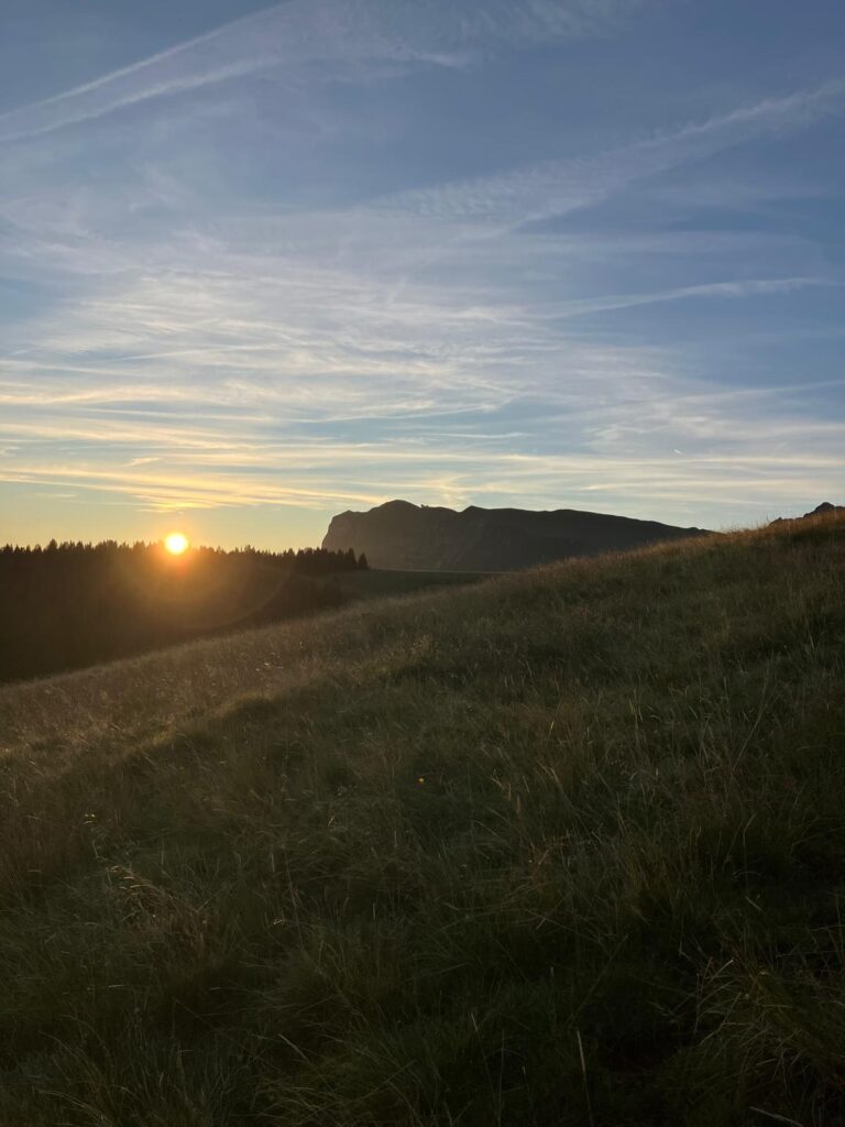 20250906_707_LeNiremont