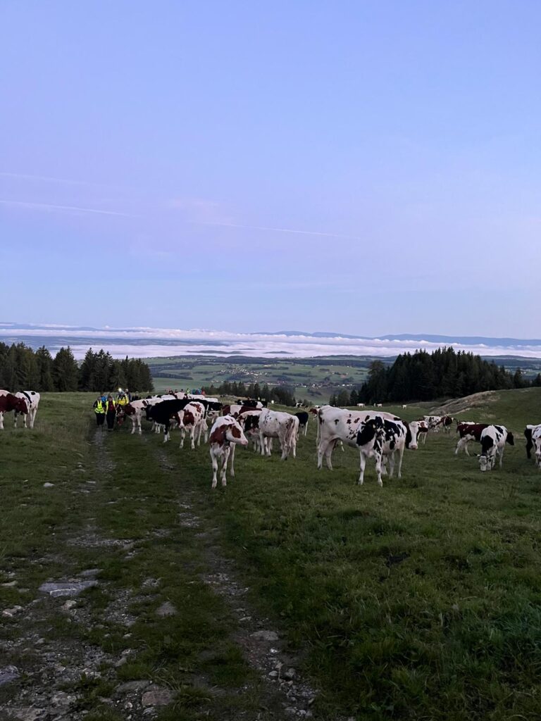 20250906_708_LeNiremont