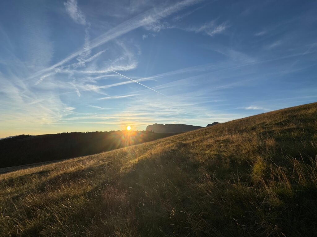 20250906_720_LeNiremont