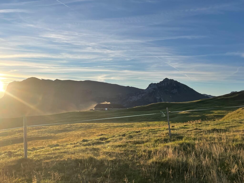 20250906_721_LeNiremont