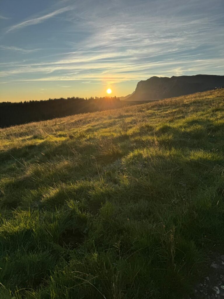 20250906_722_LeNiremont