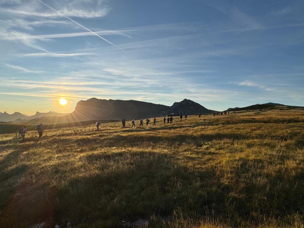 20250906_723_LeNiremont