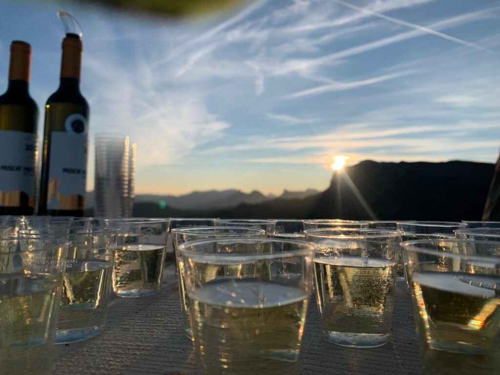 20250906_733_SommetduNiremont