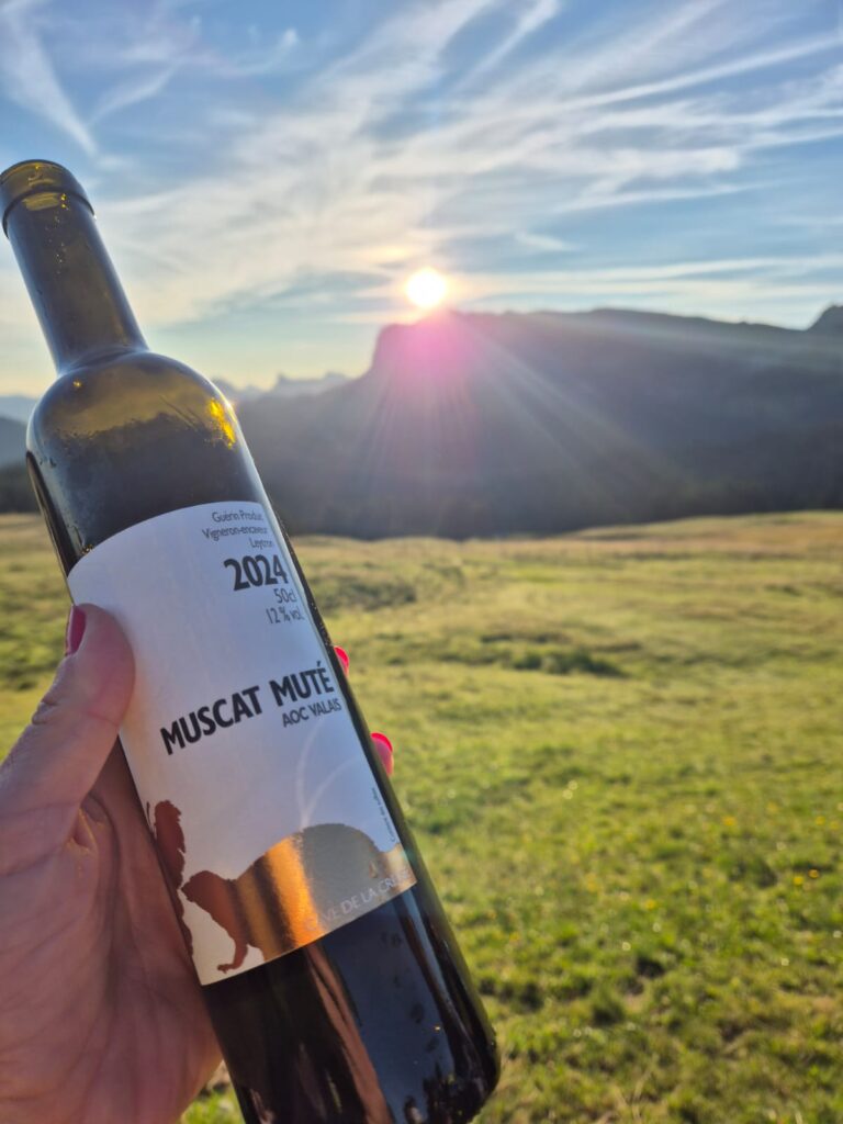 20250906_735_SommetduNiremont