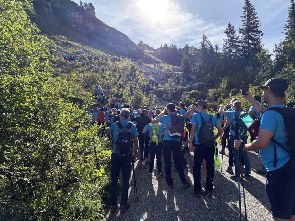 20250906_978_Tremetta