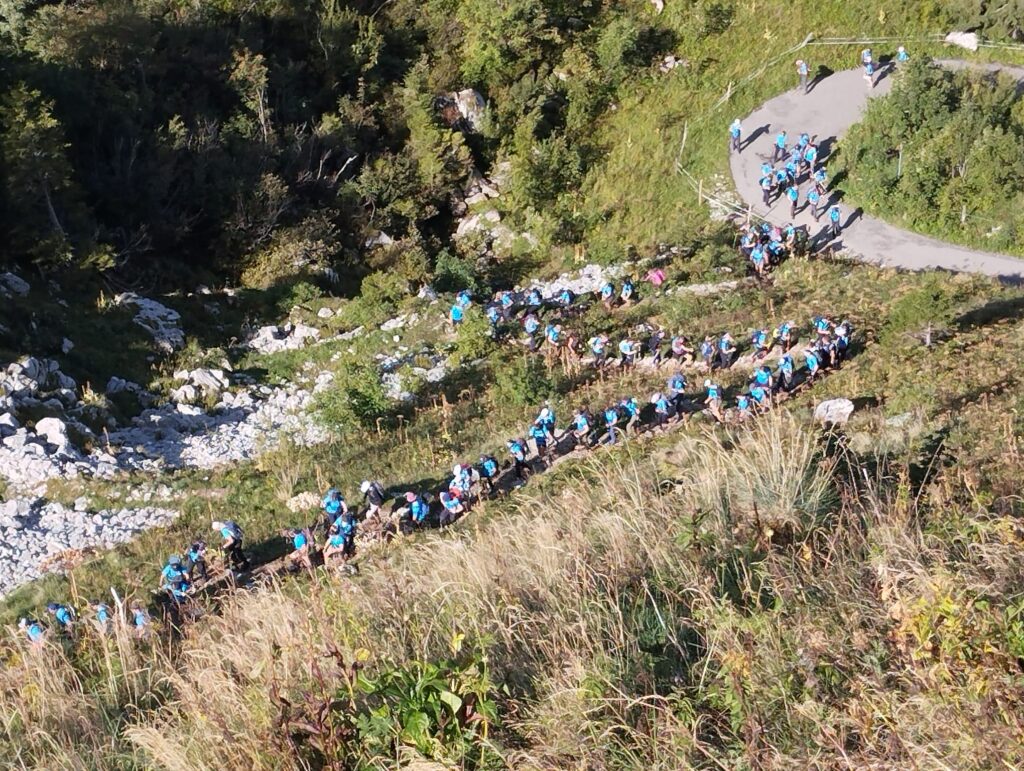 20250906_981_Tremetta