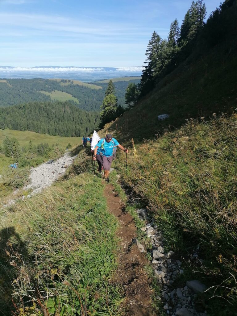 20250906_982_Tremetta