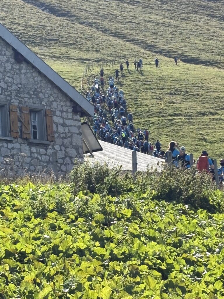 20250906_986_Tremetta