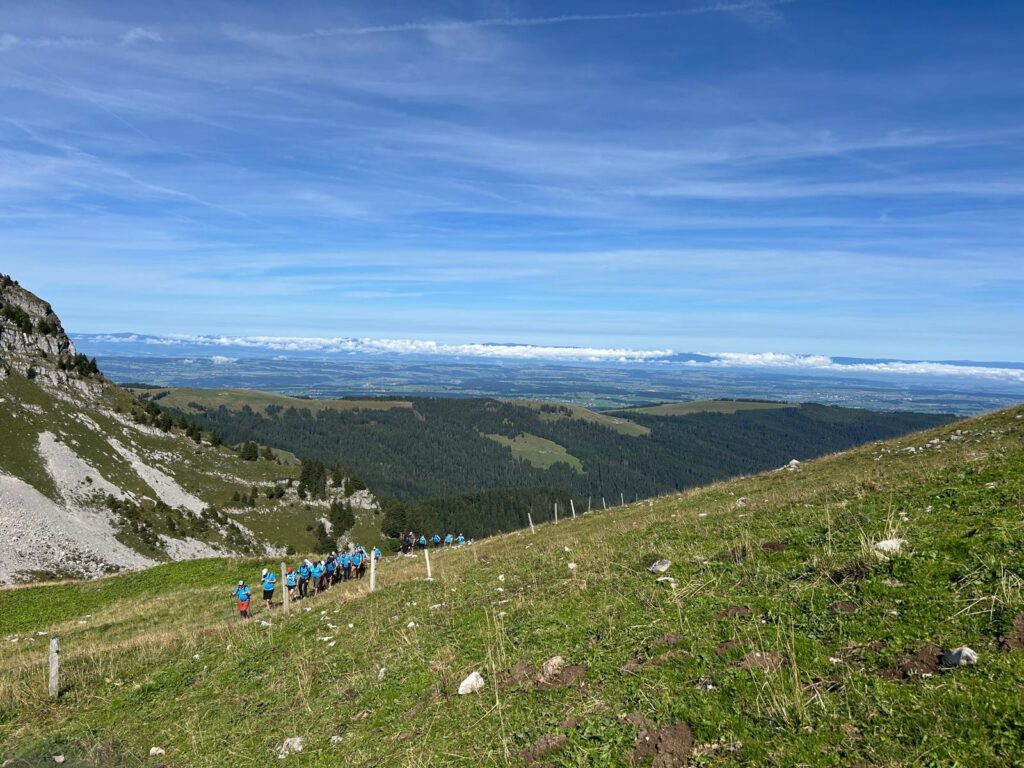 20250906_988_Tremetta