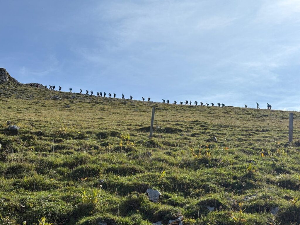 20250906_990_CreteduMoleson