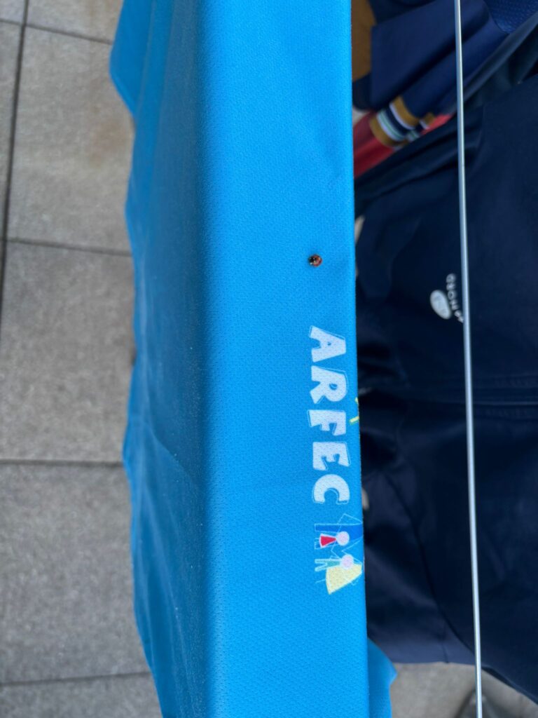 20250907_1204_Pringy