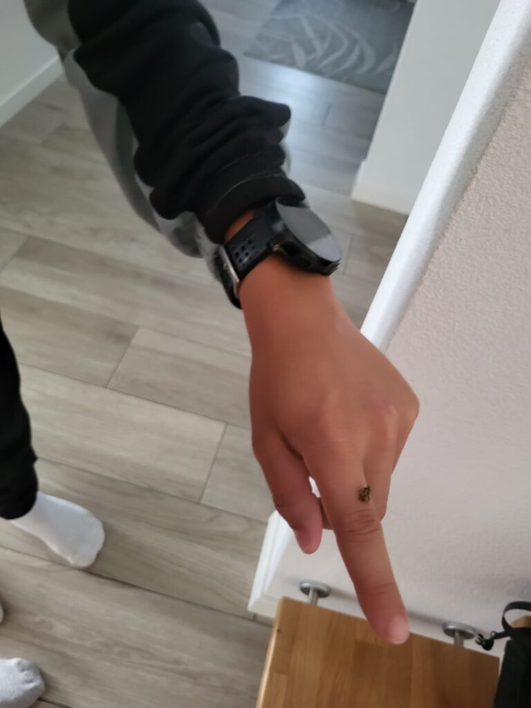 20250908_1206_Vuadens