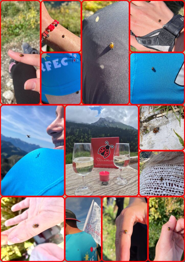 20250908_1207_Salvan