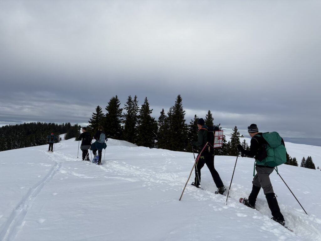 20251129_18_Gros_Niremont