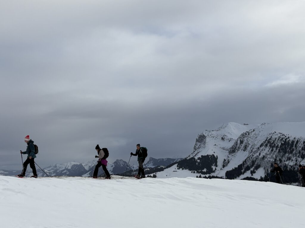 20251129_20_LeNiremont