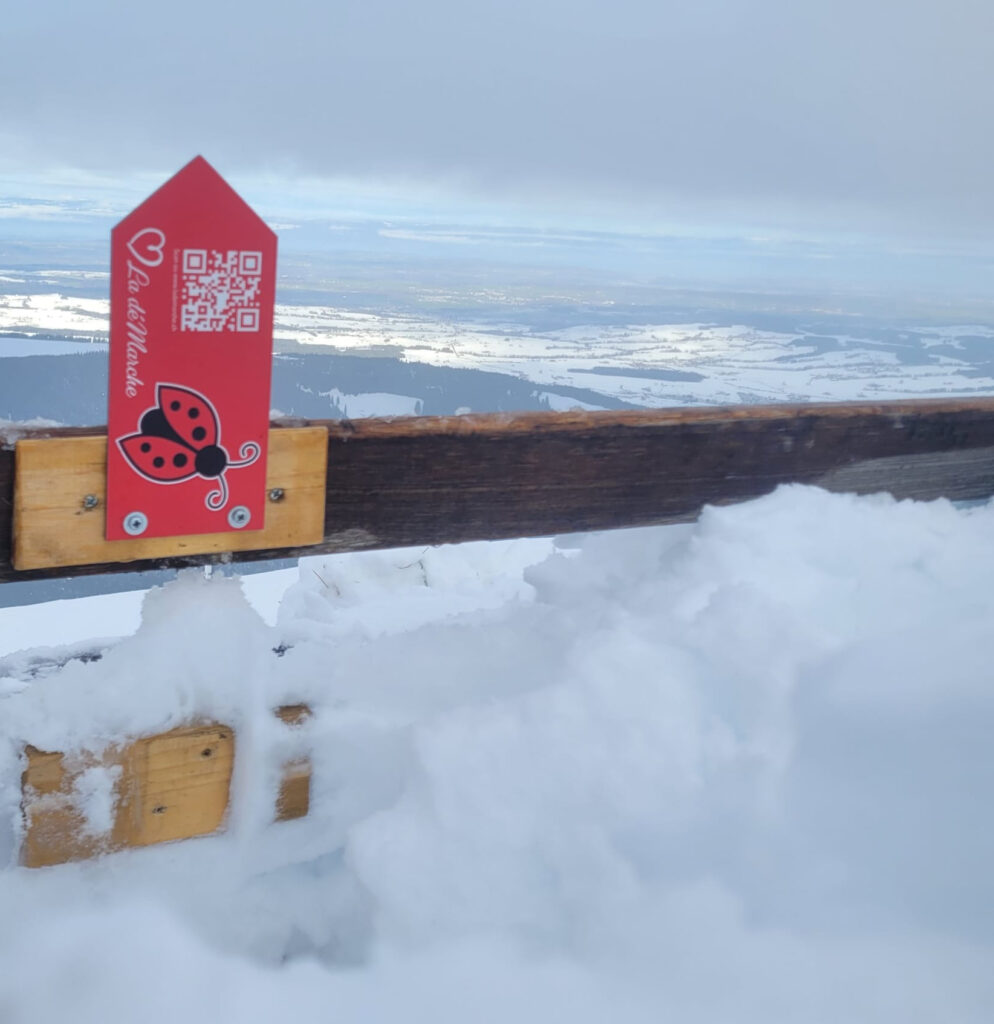 20251129_32_Sommet_Moléson