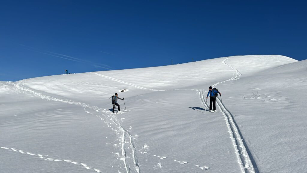 20251129_45_GrosPlané