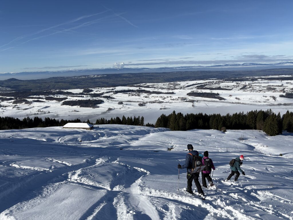 20251129_48_LeNiremont