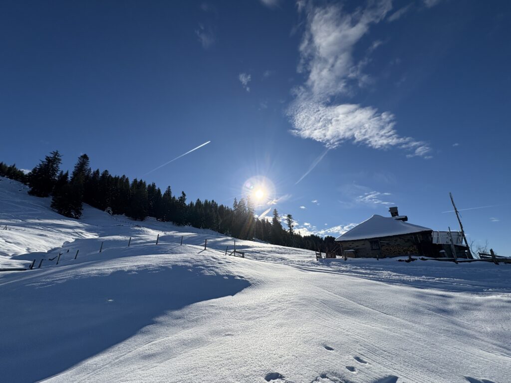 20251129_49_LeNiremont