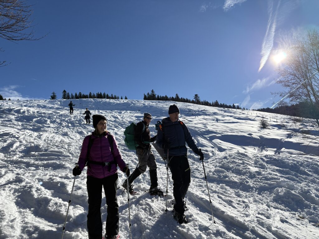 20251129_50_LeNiremont