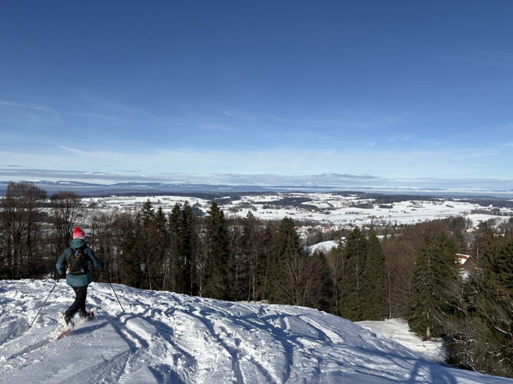 20251129_51_LeNiremont